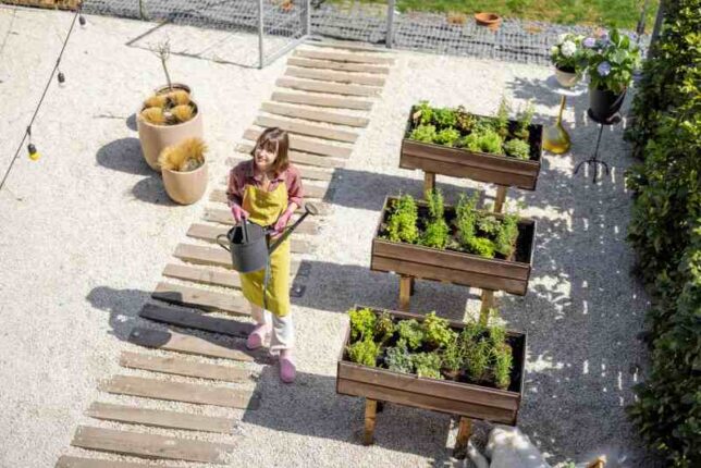 "Oryginalny pomysł: wykorzystanie roślin do wypełniania szczelin w elementach architektury miejskiej"